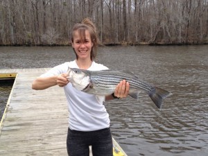 Caitlin Bradley with a Neuse River Striped Bass about to devote its life to science