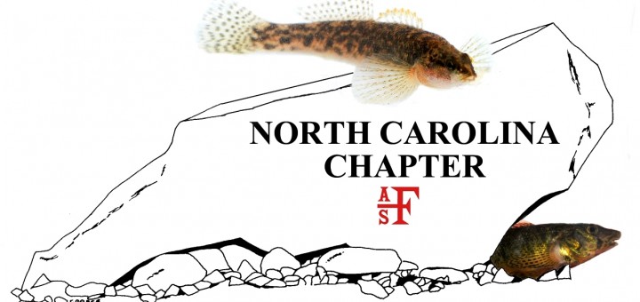 Logo of NCAFS