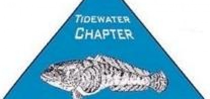 Tidewater AFS Logo