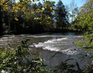 Fish weir on the Little Tennessee River