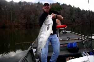 Kim Baker with a nice striped bass caught from an “undisclosed” reservoir, December 2014.