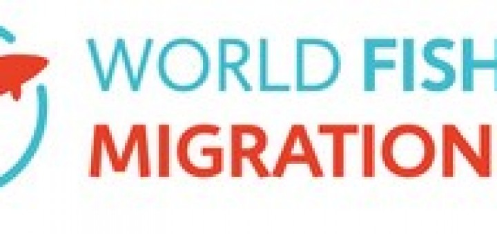 World Fish Migration Day Small Logo