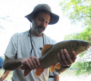 Ryan Heise, NCWRC Aquatic Nongame Biologist, with a Robust Redhorse