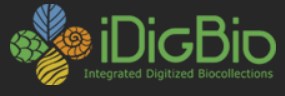 iDigBio Logo