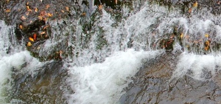 AFS Warmwater Streams Image