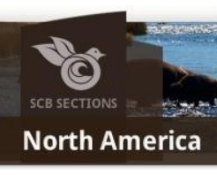 SCBNA Logo