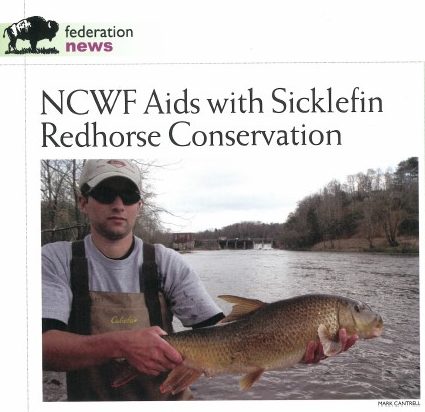 TR Russ, NCWRC Foothills Region Aquatic Wildlife Diversity Coordinator with a Sicklefin Redhorse.
