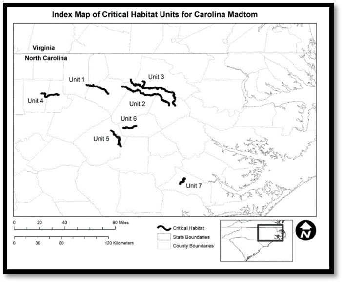 Topminnow (Family Fundulidae) Diversity in North Carolina »